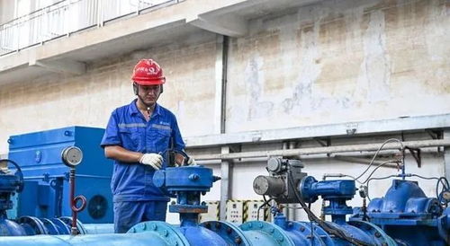 国资国企勇担使命，全力抢修涿州基础设施